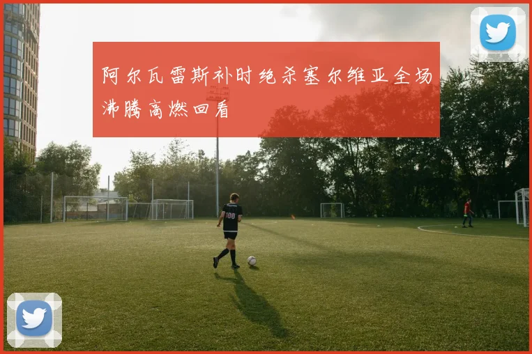 阿尔瓦雷斯补时绝杀塞尔维亚全场沸腾高燃回看
