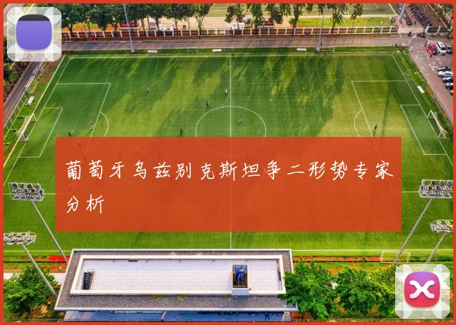 葡萄牙乌兹别克斯坦争二形势专家分析