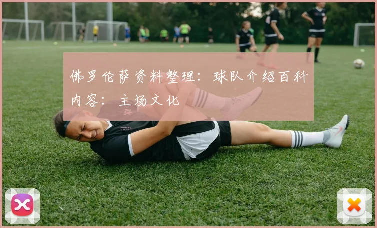 佛罗伦萨资料整理：球队介绍百科内容：主场文化