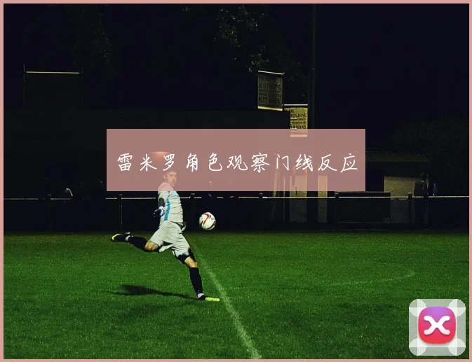 雷米罗角色观察门线反应