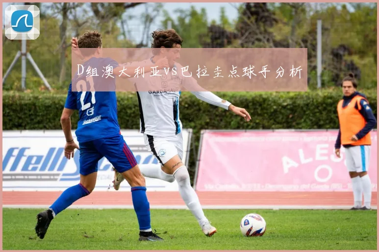 D组澳大利亚vs巴拉圭点球手分析
